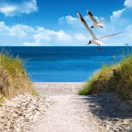 2 Sea C 7 Hébergement de vacances *